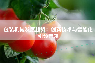 包装机械发展趋势：创新技术与智能化引领未来