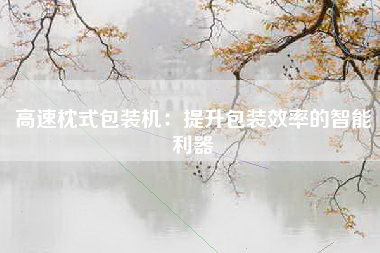 高速枕式包装机：提升包装效率的智能利器