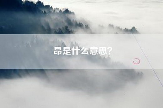 昂是什么意思？