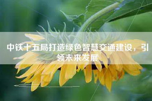 中铁十五局打造绿色智慧交通建设，引领未来发展