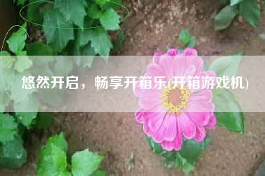 悠然开启，畅享开箱乐(开箱游戏机)