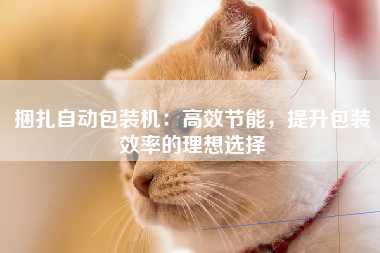 捆扎自动包装机：高效节能，提升包装效率的理想选择