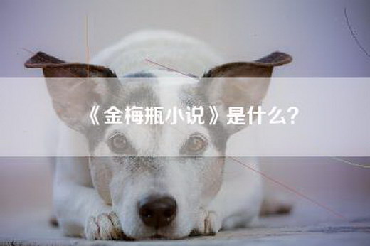 《金梅瓶小说》是什么？