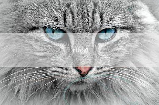 effect