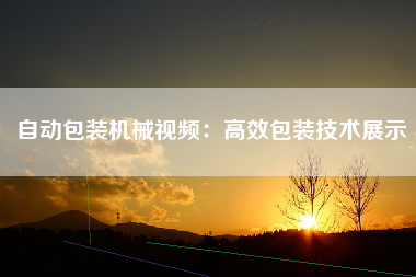 自动包装机械视频：高效包装技术展示