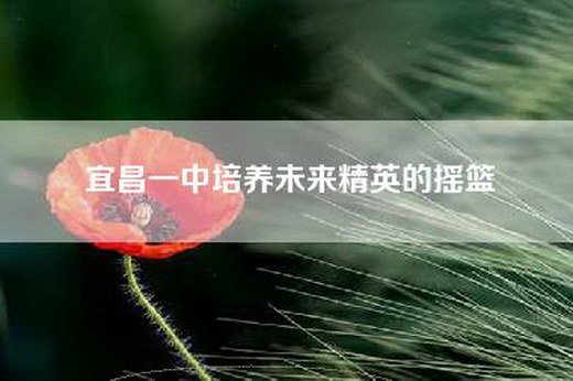 宜昌一中培养未来精英的摇篮