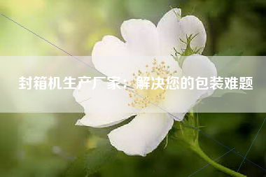 封箱机生产厂家：解决您的包装难题