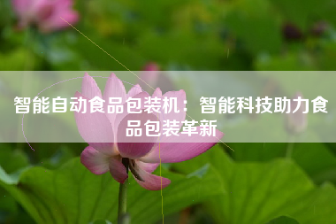 智能自动食品包装机：智能科技助力食品包装革新