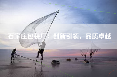 石家庄包装厂：创新引领，品质卓越