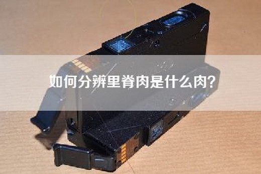如何分辨里脊肉是什么肉？