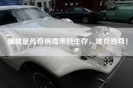 我就是传奇病毒末日生存，唯我独尊！