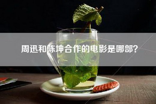 周迅和陈坤合作的电影是哪部？