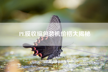 PE膜收缩包装机价格大揭秘