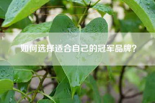 如何选择适合自己的冠军品牌？