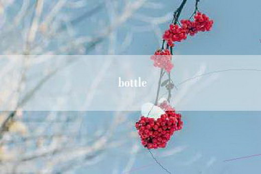 bottle