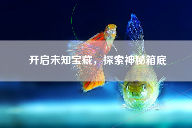 开启未知宝藏，探索神秘箱底