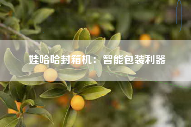 娃哈哈封箱机：智能包装利器