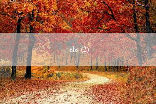 cbs (2)