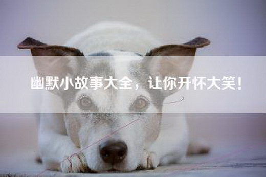 幽默小故事大全，让你开怀大笑！