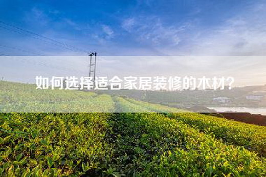 如何选择适合家居装修的木材？