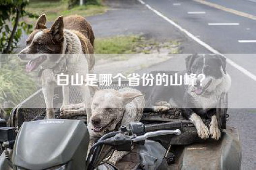 白山是哪个省份的山峰？