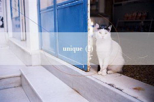 unique (2)