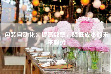 包装自动化：提高效率，降低成本的未来趋势
