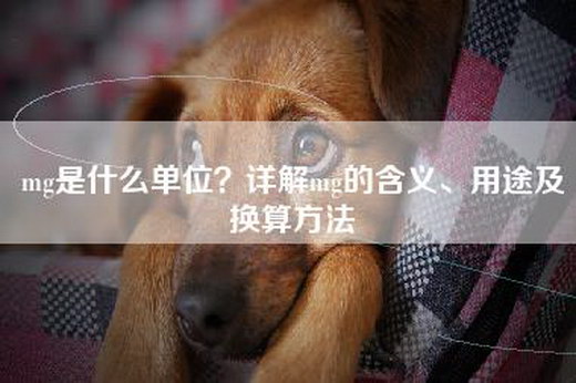mg是什么单位？详解mg的含义、用途及换算方法