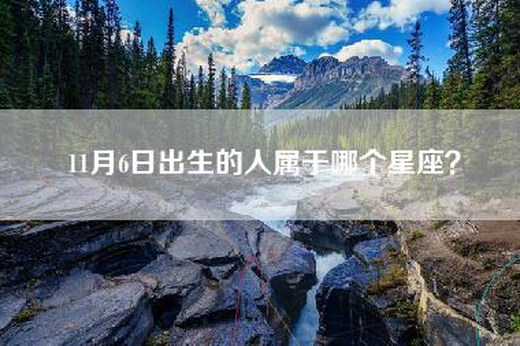 11月6日出生的人属于哪个星座？