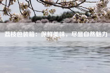 荔枝包装箱：保鲜美味，尽显自然魅力