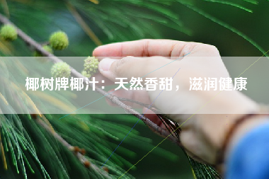 椰树牌椰汁：天然香甜，滋润健康