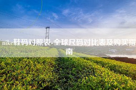nike鞋码对照表-全球尺码对比表及购买指南