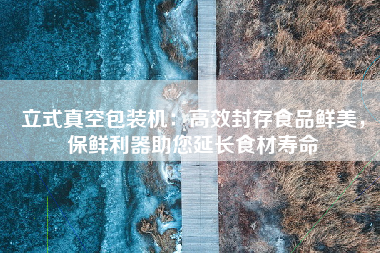 立式真空包装机：高效封存食品鲜美，保鲜利器助您延长食材寿命
