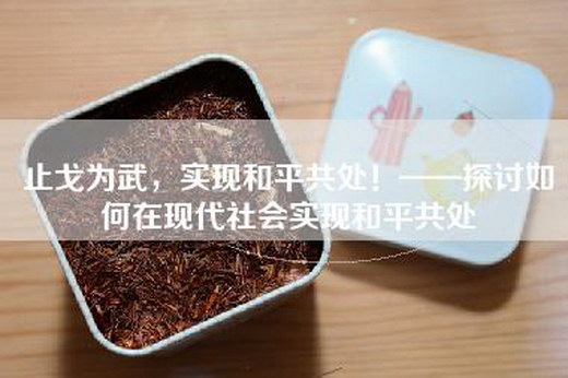 止戈为武，实现和平共处！——探讨如何在现代社会实现和平共处