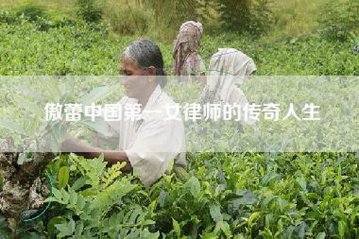 傲蕾中国第一女律师的传奇人生