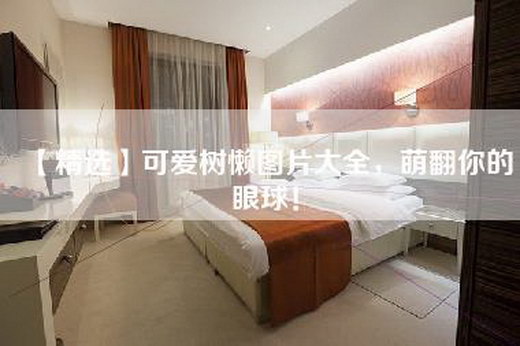 【精选】可爱树懒图片大全，萌翻你的眼球！