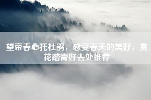 望帝春心托杜鹃，感受春天的美好，赏花踏青好去处推荐