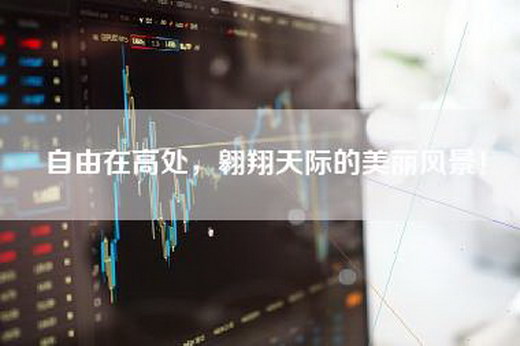 自由在高处，翱翔天际的美丽风景！