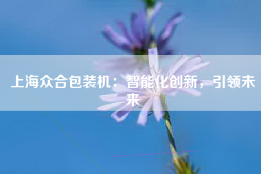 上海众合包装机：智能化创新，引领未来