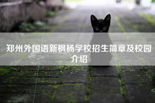 郑州外国语新枫杨学校招生简章及校园介绍