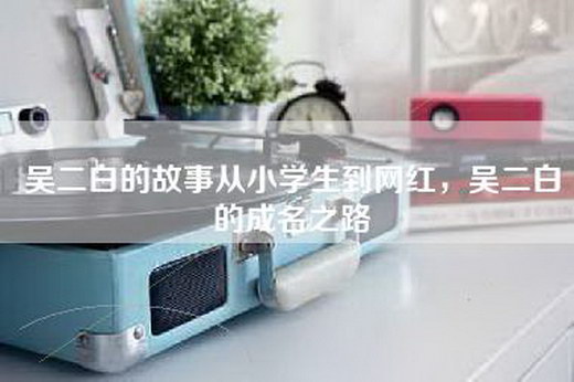 吴二白的故事从小学生到网红，吴二白的成名之路