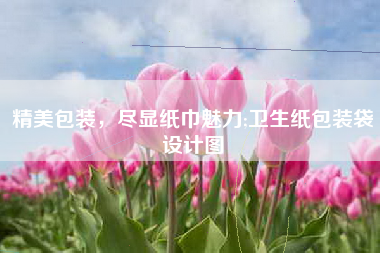 精美包装，尽显纸巾魅力;卫生纸包装袋设计图