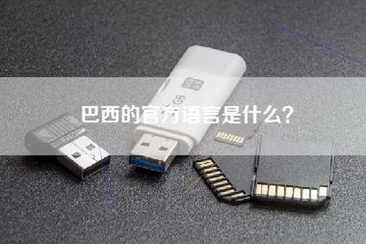 巴西的官方语言是什么？
