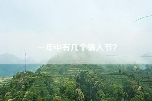 一年中有几个情人节？