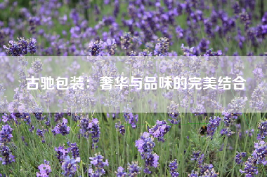 古驰包装：奢华与品味的完美结合