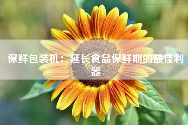 保鲜包装机：延长食品保鲜期的最佳利器