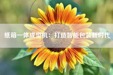 纸箱一体成型机：打造智能包装新时代