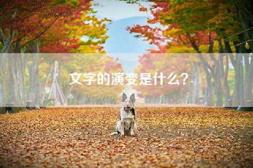 文字的演变是什么？