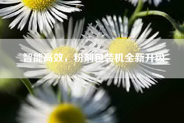 智能高效，粉剂包装机全新升级