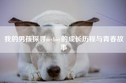 我的男孩探寻myboy的成长历程与青春故事
